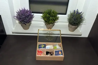 Die Bibliothek in der Ferienwohnung