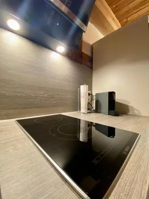 Küche/Küchenzeile in der Unterkunft Mein MINI-HAUS - 2 Zimmer - Smart-TV - Stein & Holz