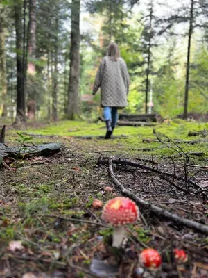 Gäste, die in der Unterkunft Ferienwohnung Schwarzwald Lodge übernachten