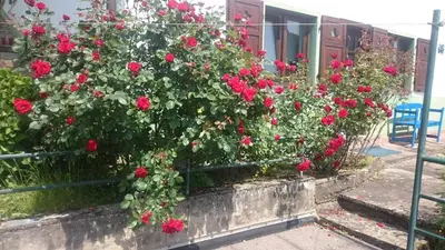 Ein Garten an der Unterkunft La casita linda