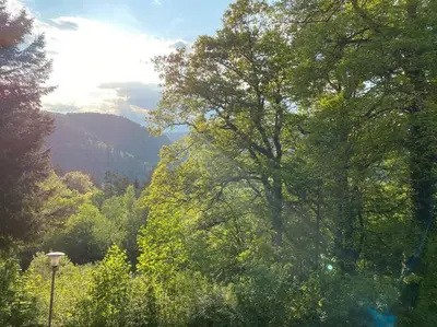 Naturlandschaft in der Nähe der Ferienwohnung