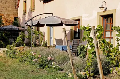 Ein Garten an der Unterkunft Gute Lage Ferienwohnungen