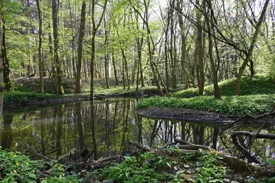 Naturlandschaft in der Nähe der Ferienwohnung