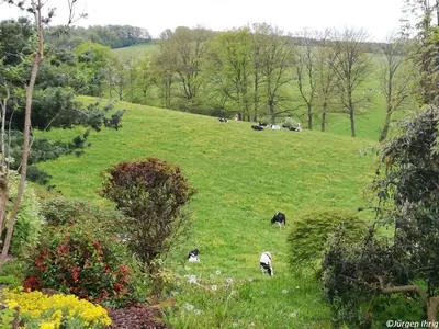 Naturlandschaft in der Nähe der Ferienwohnung