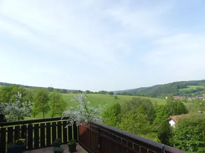Naturlandschaft in der Nähe der Ferienwohnung