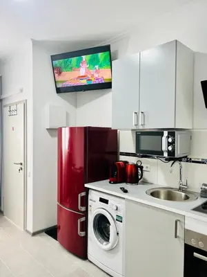 Küche/Küchenzeile in der Unterkunft Neuwertiges Apartment mit schnellem WLAN, Netflix, Glasfaser, Kostenlose Privatparkplatz auch für Transporter geeignet R20