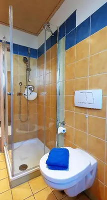Ein Badezimmer in der Unterkunft Ferienwohnung Strata Montana