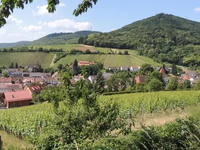 Naturlandschaft in der Nähe der Ferienwohnung