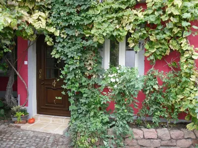 Ein Garten an der Unterkunft Winzeranwesen - Weingut Christian Eberley- FeWo II MINDESTAUFENTHALT 4 NÄCHTE - MINIMUM STAY 4 NIGHTS