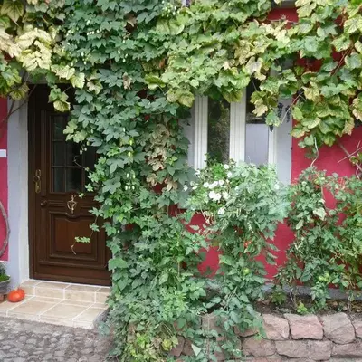 Winzeranwesen - Weingut Christian Eberley- FeWo II MINDESTAUFENTHALT 4 NÄCHTE - MINIMUM STAY 4 NIGHTS
