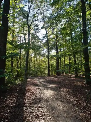 Naturlandschaft in der Nähe der Ferienwohnung