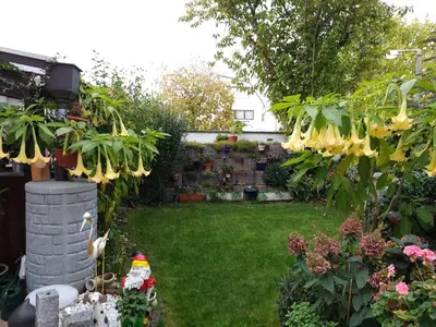 Ein Garten an der Unterkunft Schöne 3 Zi. Ferienwohnung vor den Toren Frankfurt