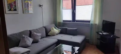 TV/Unterhaltungsangebot in der Unterkunft Schöne 3 Zi. Ferienwohnung vor den Toren Frankfurt