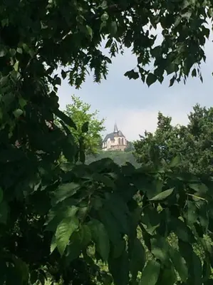 Ein Garten an der Unterkunft Traumblick Rebenmeer