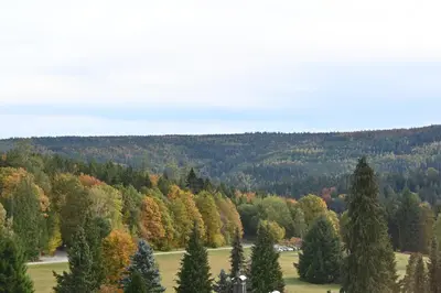 Naturlandschaft in der Nähe der Pension