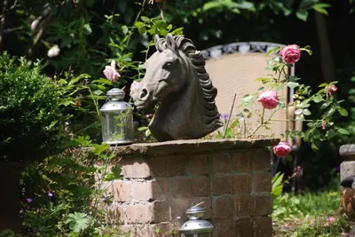 Ein Garten an der Unterkunft Schönbachhof