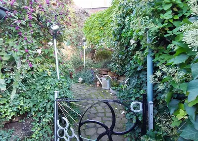 Ein Garten an der Unterkunft Beim Schlafwandler