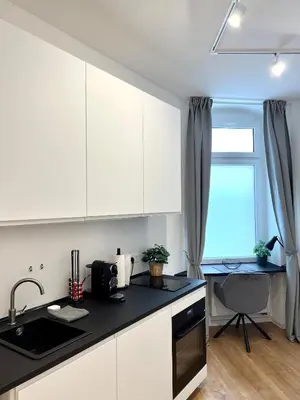 Küche/Küchenzeile in der Unterkunft Modernes Apartment im Zentrum von Karlsruhe