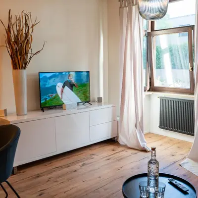 TV/Unterhaltungsangebot in der Unterkunft M Apartment Charme - gemütlich geräumig heimisch
