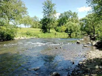 Naturlandschaft in der Nähe der Ferienwohnung