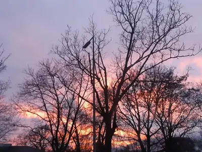 Blick auf den Sonnenuntergang/Sonnenaufgang von der Ferienwohnung aus oder aus der Nähe