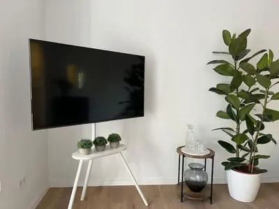 TV/Unterhaltungsangebot in der Unterkunft City Appartement direkt am Schloss!