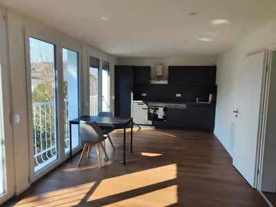 Küche/Küchenzeile in der Unterkunft Apartmenthaus Pforzheim