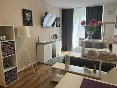 Küche/Küchenzeile in der Unterkunft Business Appartement in Mainz Bretzenheim