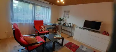TV/Unterhaltungsangebot in der Unterkunft Ferien- und Business Wohnung