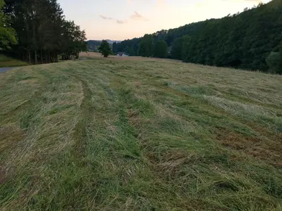 Naturlandschaft in der Nähe des Campingplatzes