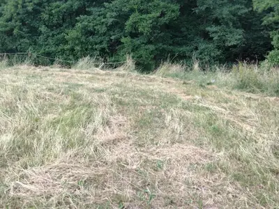 Grundriss der Unterkunft Wildkamp Resort Zelten in der freien Natur ( Wiese Wald )