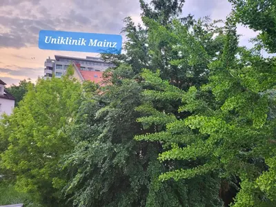 Grundriss der Unterkunft Gemütliches Privatzimmer an der Uniklinik Mainz. Sehr zentral