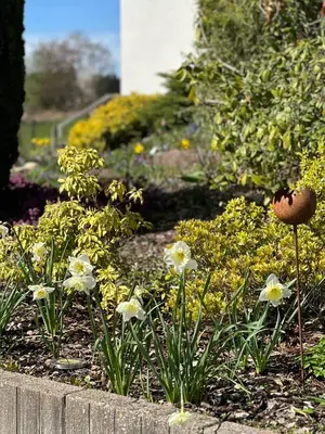 Ein Garten an der Unterkunft Ferienwohnung Schömberg