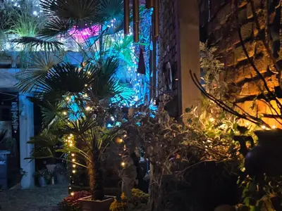 Ein Garten an der Unterkunft Altstadt Speyer