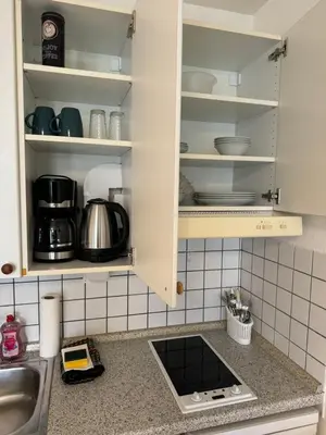 Küche/Küchenzeile in der Unterkunft Steinhauer Business Appartement