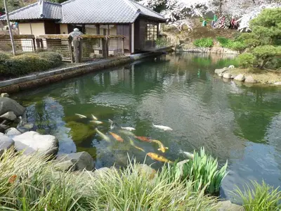 Blick auf einen Fluss in der Nähe der Ferienwohnung