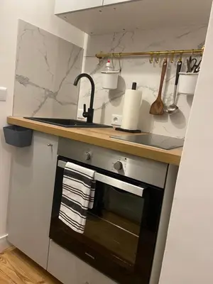 Küche/Küchenzeile in der Unterkunft GREENSIDE Apartment Work&Travel Nähe Weinheim, HD, MA