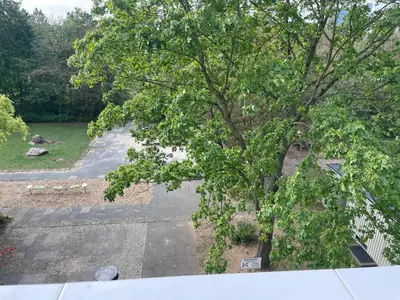 Ein Garten an der Unterkunft Ismail Wohnung 2 Zi. Kranichstein