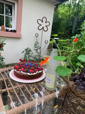 Ein Garten an der Unterkunft rheinhessen-landhaus