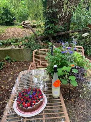 Ein Garten an der Unterkunft rheinhessen-landhaus