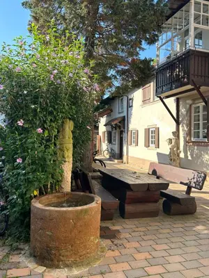 Ein Garten an der Unterkunft Exklusives Haus, ruhig gelegen im Innenhof, zentral, lichtdurchflutet Zustellbett,Babybett bei Bedarf