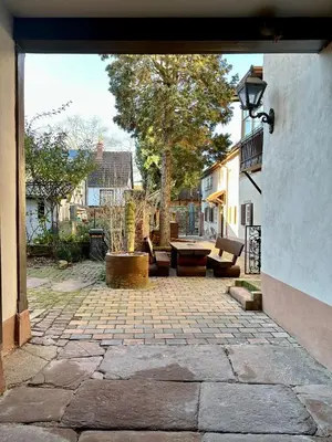 Ein Garten an der Unterkunft Exklusives Haus, ruhig gelegen im Innenhof, zentral, lichtdurchflutet Zustellbett,Babybett bei Bedarf