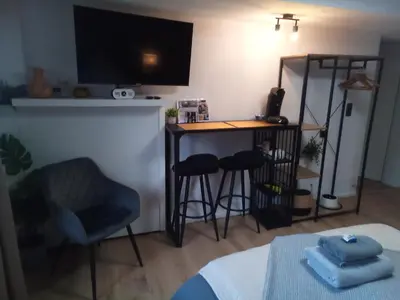 TV/Unterhaltungsangebot in der Unterkunft Forest Hill Travel &Work Nettes Apartment mit privatem Eingang Birkenau Mannheim Weinheim Heidelberg