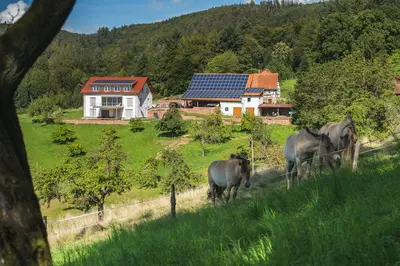 Tiere in der Ferienwohnung oder in der Nähe
