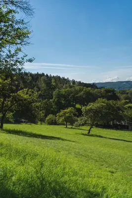 Naturlandschaft in der Nähe der Ferienwohnung