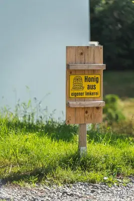 Naturlandschaft in der Nähe der Ferienwohnung