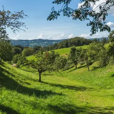 Grünewaldhof in Rimbach im Odenwald
