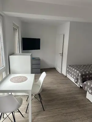 TV/Unterhaltungsangebot in der Unterkunft Neckar-Apart