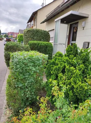 Ein Garten an der Unterkunft Ferienappartement Obrigheim