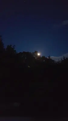 Grundriss der Unterkunft Idyllische Wohnung mitten in der Natur „ Haus Magnolia „